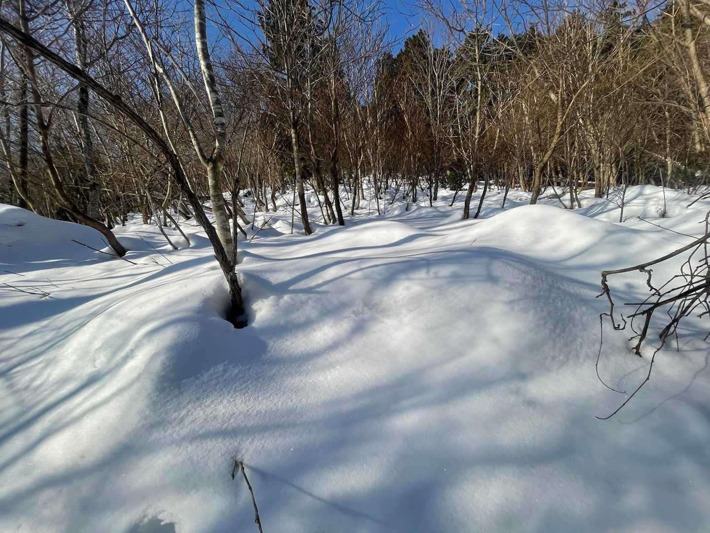 那岐山 周回コース | 雪解け水が流れる山道。山頂からは瀬戸内海を望む絶景の写真