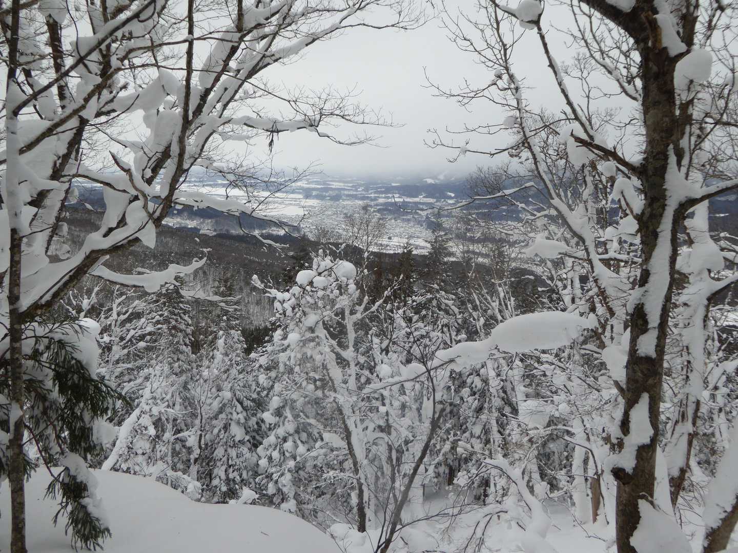 三ノ岳（秋田県）の写真