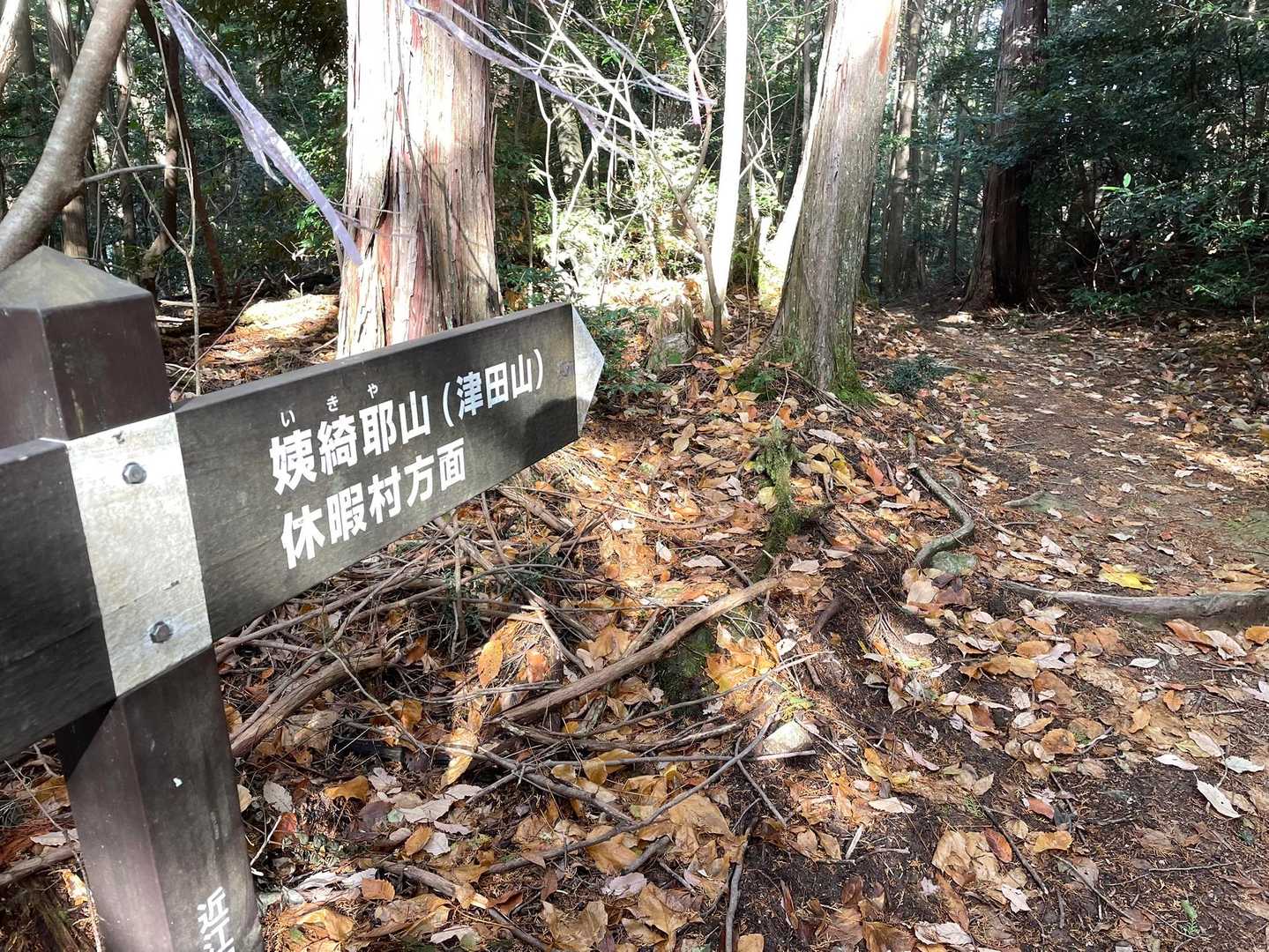 奥山へ向かいます。