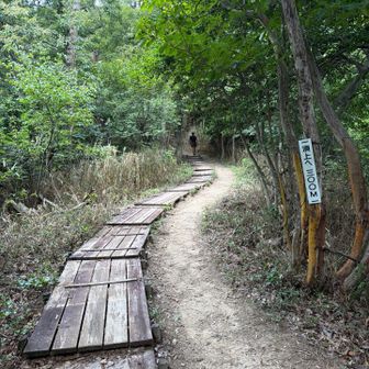 もうちょっとかなー？