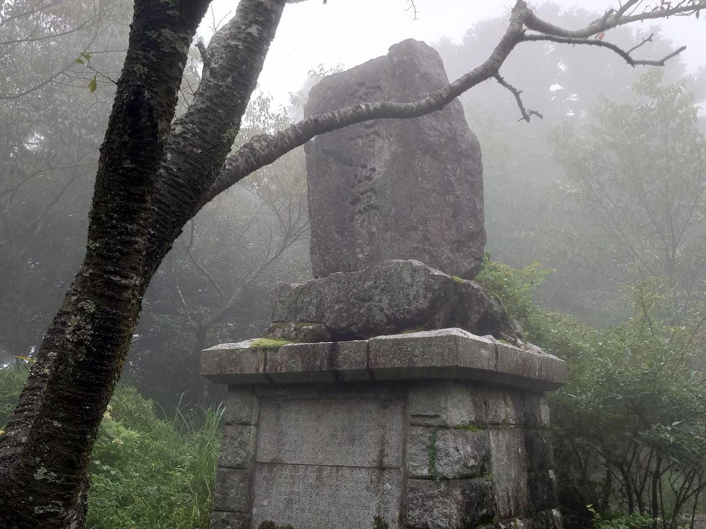 中宮跡（定点測定）