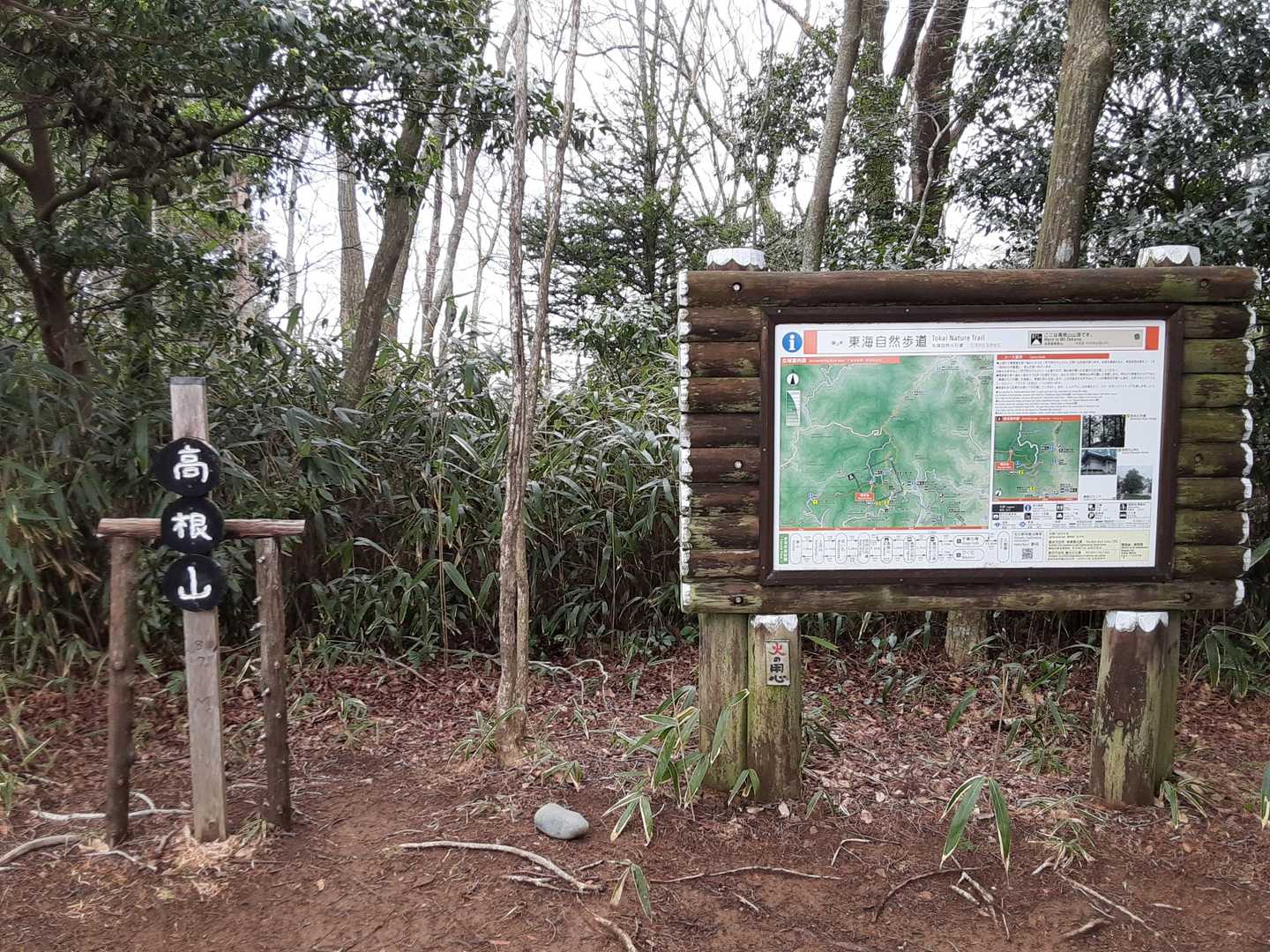 あっという間に、高根山⛰️871mに到着しました。