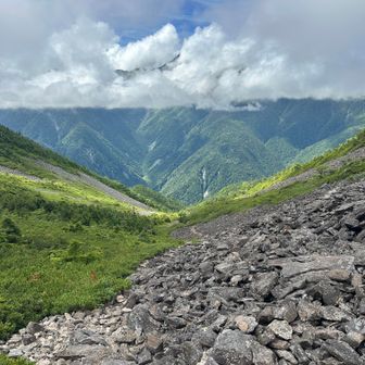 アサヨ峰への縦走を断念。広河原へ離脱する。
最初はガレた道。