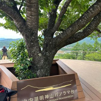 パノラマ台は、人が多いのでスルーして下山
