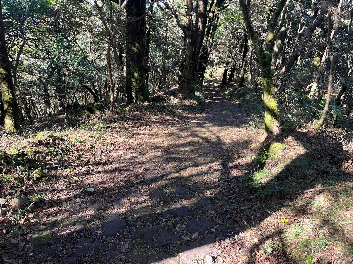 野岳 往復コースの写真