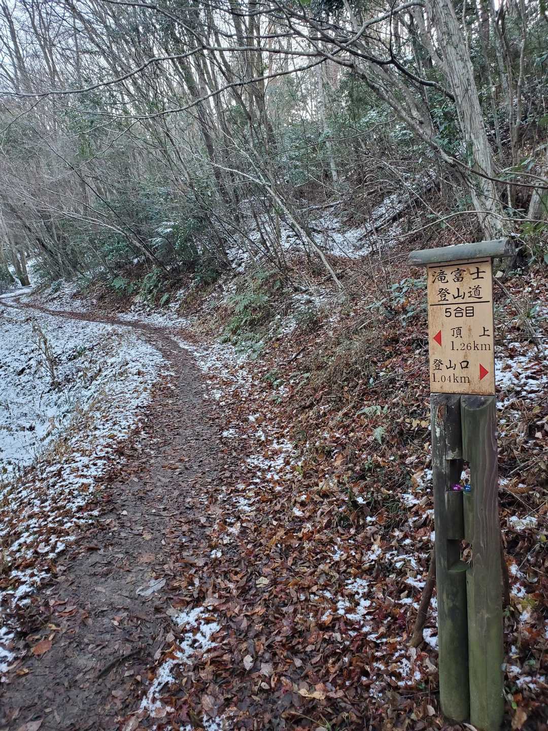 5⛄