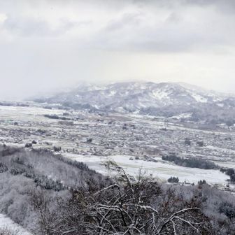 市街地を見る👀