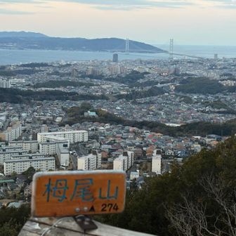 奥に淡路島が見える