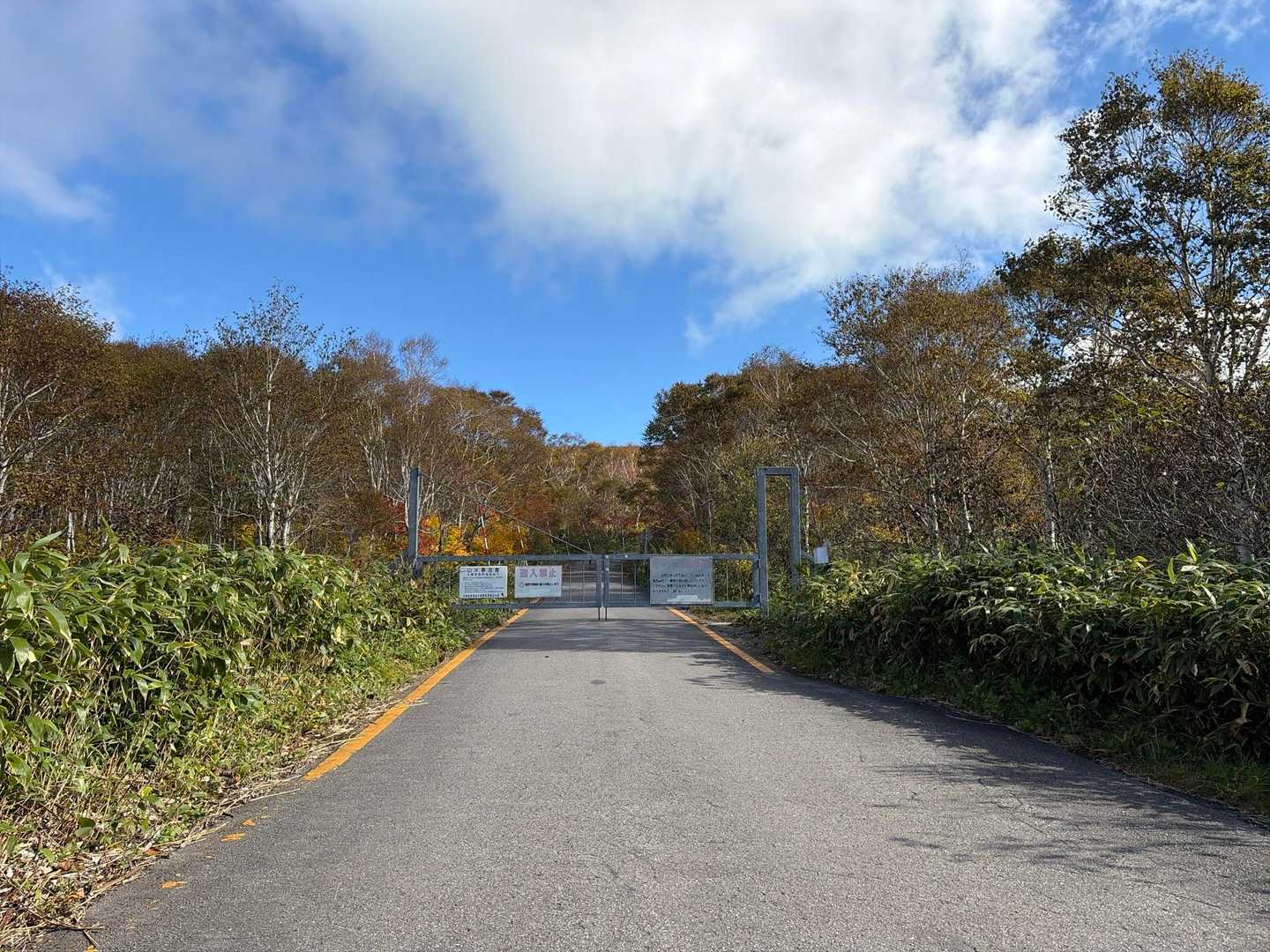 ここからスタート

しばらく舗装道路を歩きます