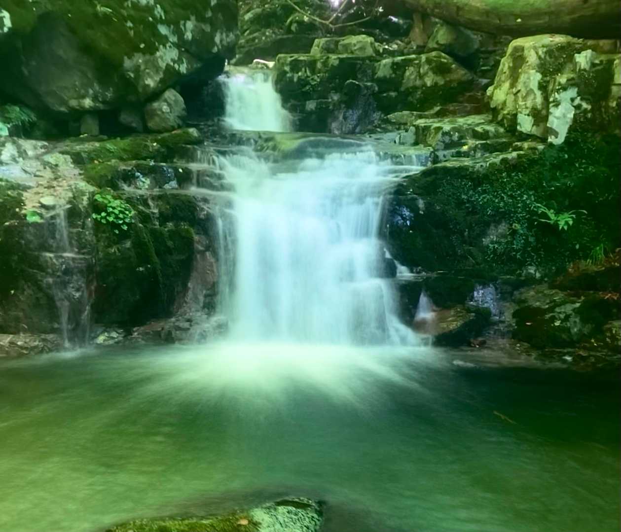 植松山 往復コースの写真