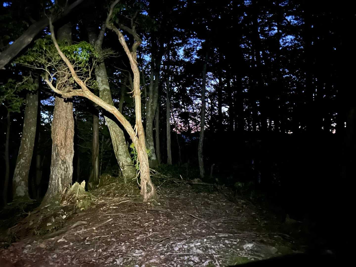 2時間半くらい経って、やっと夜が明けていく。