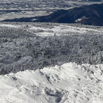 山形方面の樹氷も成長中