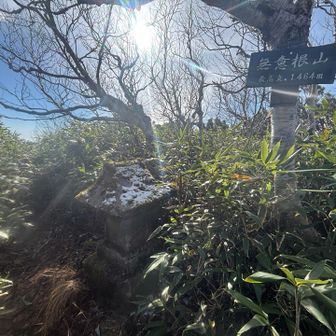 一応山頂
