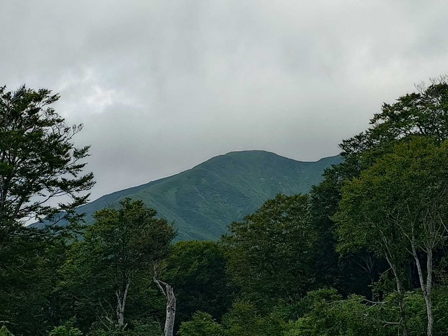 4カ月ぶり湯殿山
