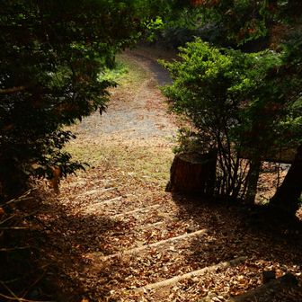 無事下山
ありがとうございました😊