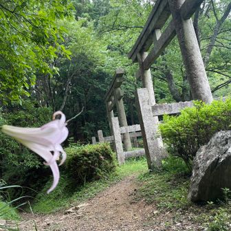 二つ鳥居⛩️⛩️
