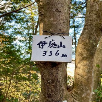 伊庭山登頂⛰️