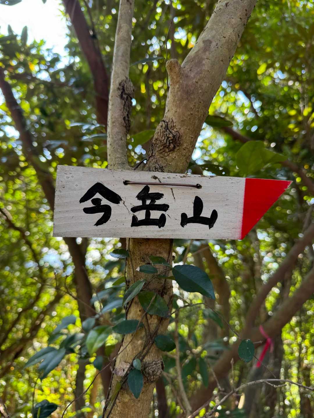 ちょこっと移動して、今岳山へ