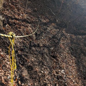 いや、ここはマヂで滑りました。
ほぼ道ない状態だったので