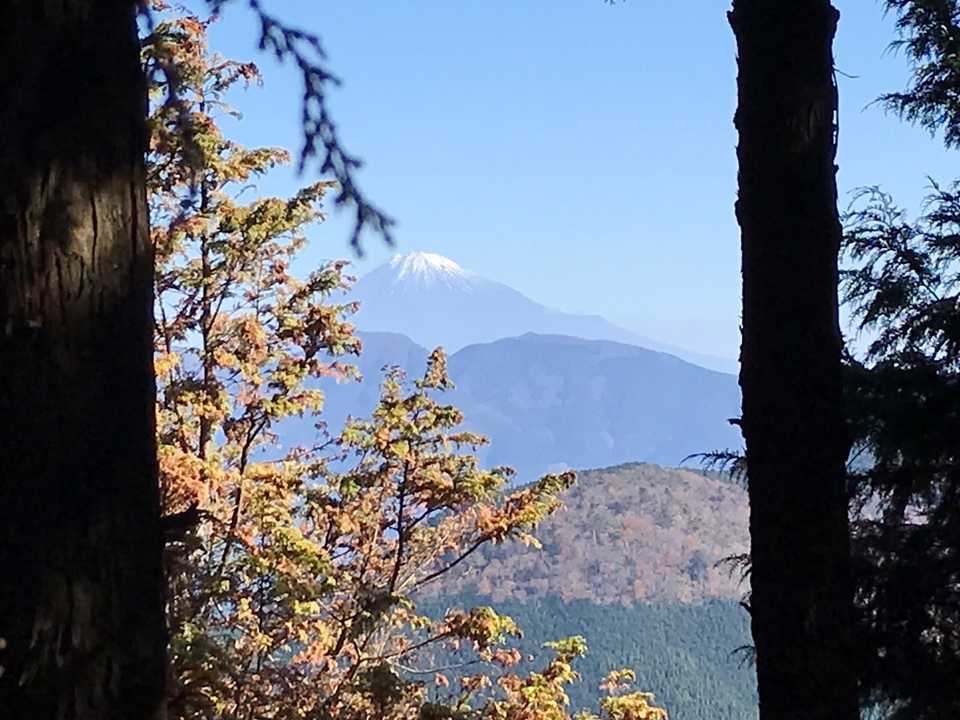 木々の間から富士山みえました❣️