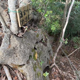 この先は上級者向けのバリエーションルートのようです。