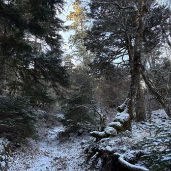 登山道は薄らと雪