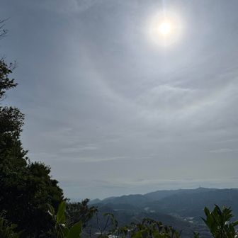 到着したものの、もしやもう行ってしまったのか不安でしょうがない。予定時間を調べたいけど、その間にくるかもしれない恐怖…。