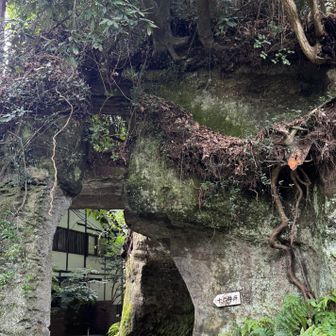 鎌倉と言えば、切り通し。

海蔵寺から源氏山ハイキングコースに戻る途中、
小学生男子6人くらいが、山登るかどうか相談してて、

危ないよ！
これはもう登山道じゃない⁉︎
半ズボンは危ない！オレ、半ズボンだよ！！

あーだこーだが、もうかわいい😆！
「雑魚どもよ、大志を抱け」をもう一度、観たくなりました。