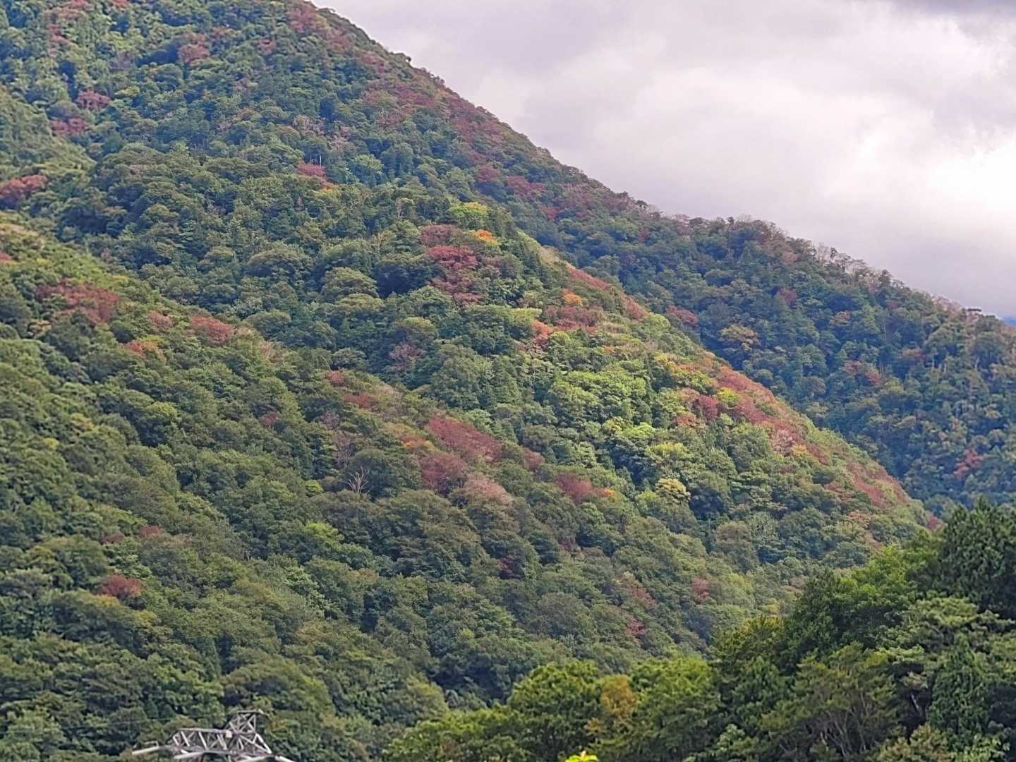 土合口駅-西黒尾根-谷川岳 往復コースの写真