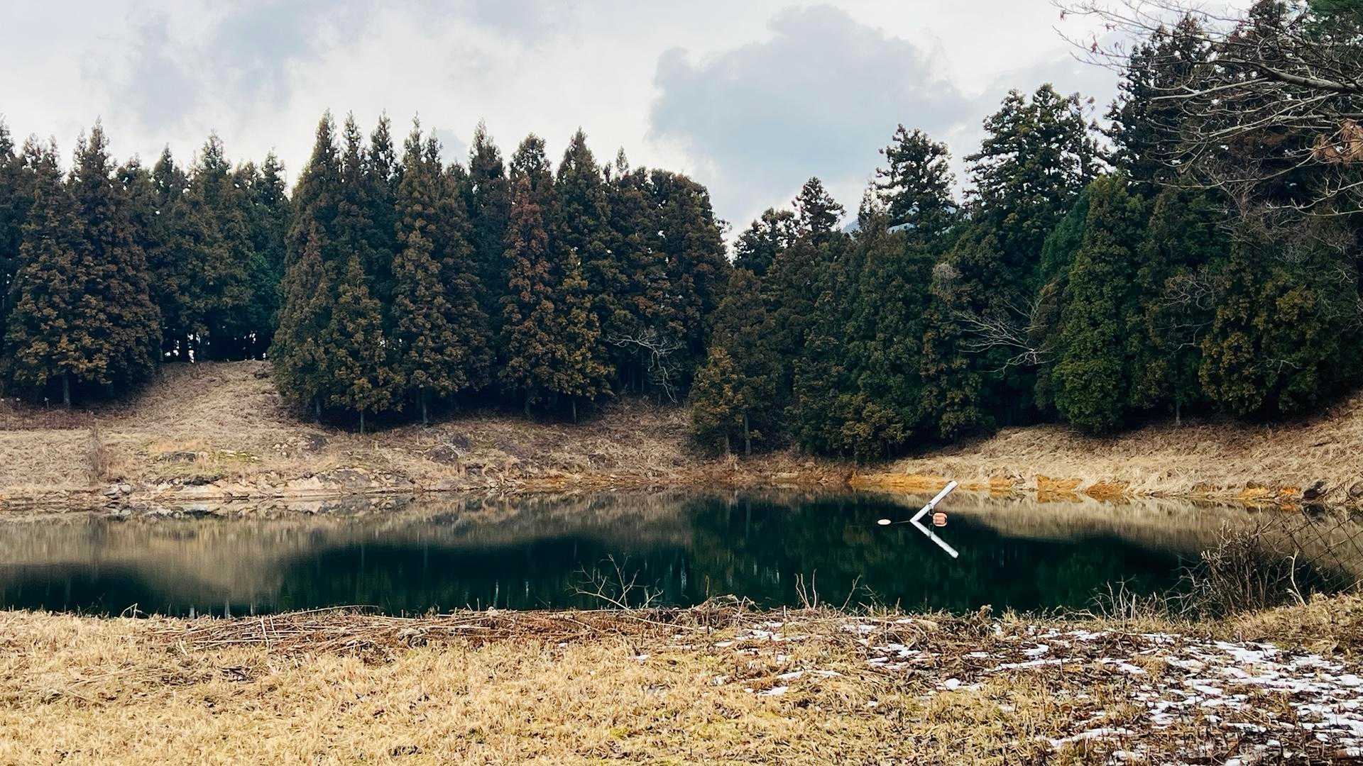 雨が降らないので溜池の水も少ない