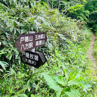 まっすぐ行くと高妻山⛰️
戸隠牧場方面へ🫏
