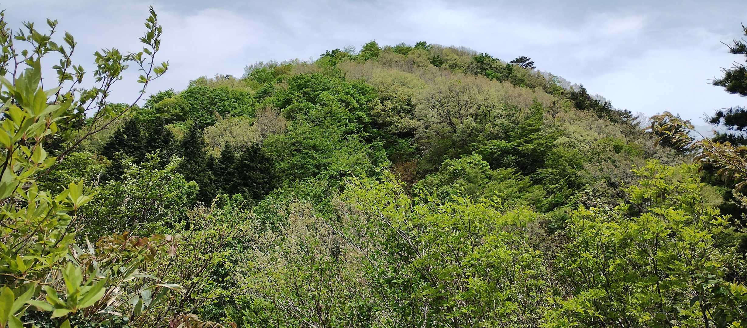 これを登ったら山頂だ！　階段地獄ヒーヒー😖