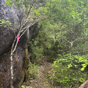 目印のテープに感謝やね〜。