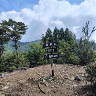 御殿山
ここまで急な登りでした。
私はここで十分でした😀
