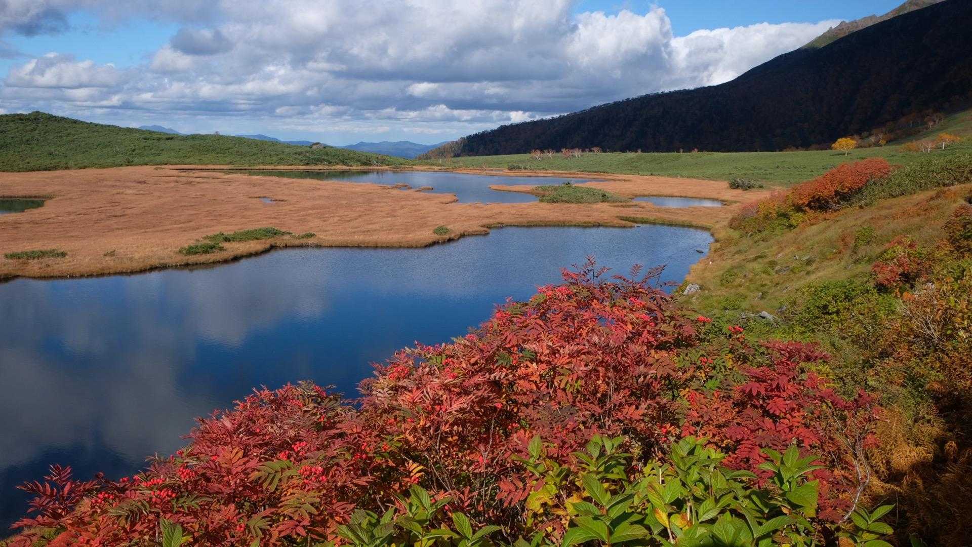 永山岳-安足間岳-当麻岳-当麻乗越-沼ノ平 周回コースの写真