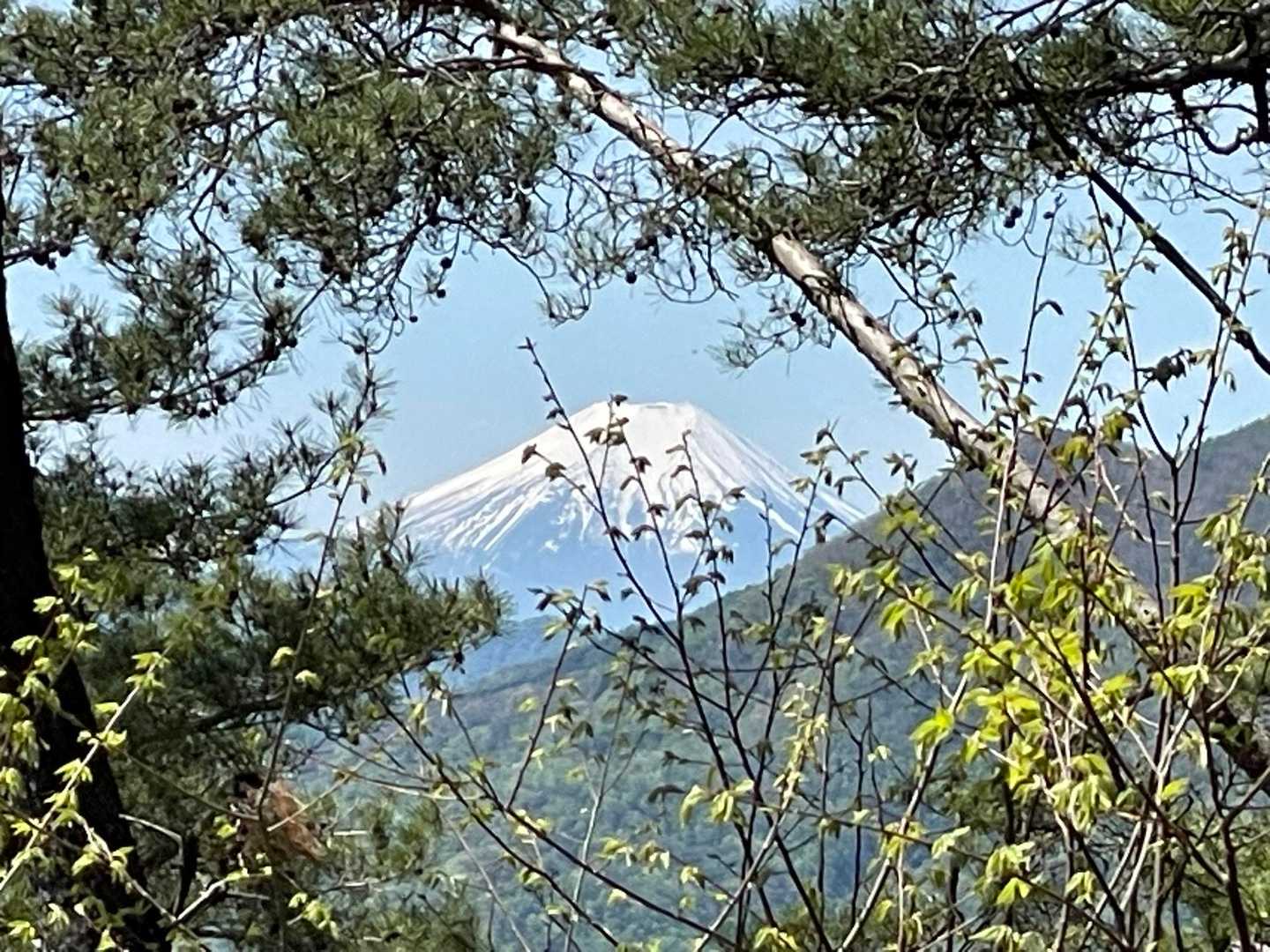 前を歩いていた方が声をかけてくれ
振り返ると雲一つない澄み切った富士山✨おぉ〜
