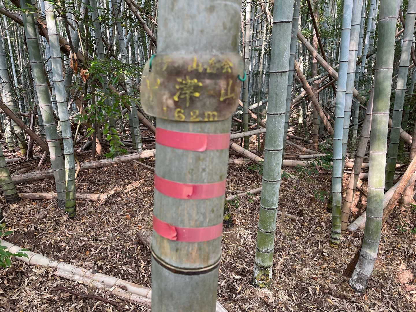キティさんの山頂標（赤テ３本）