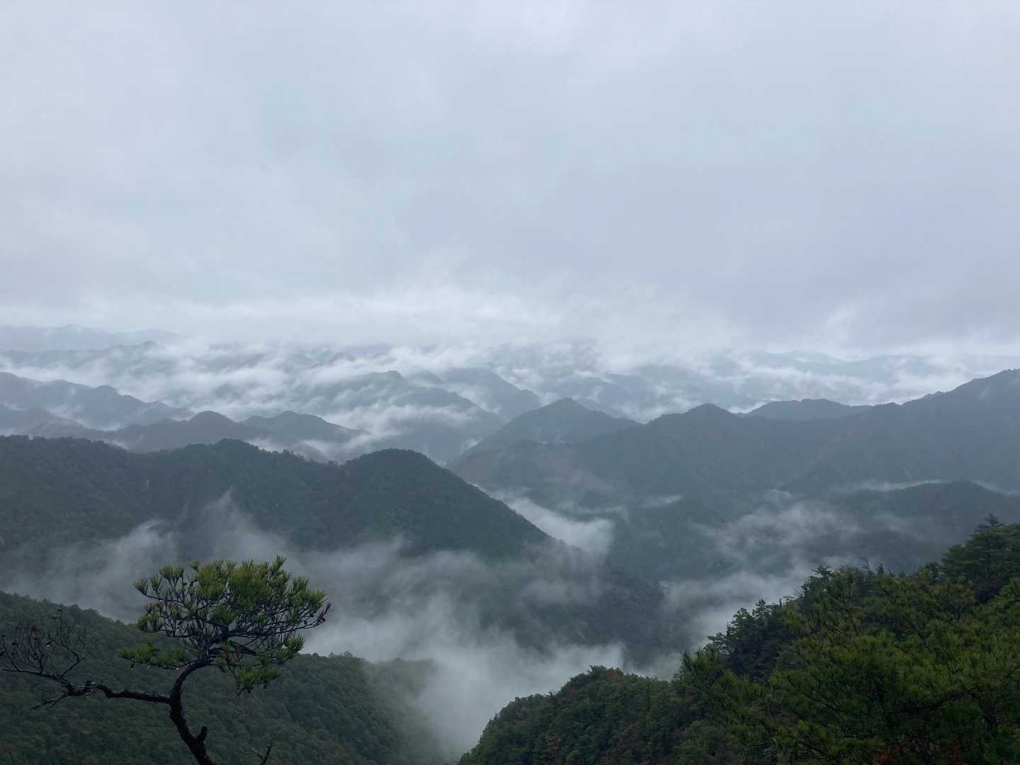 宇連山-瀬戸岩-棚山 周回コースの写真