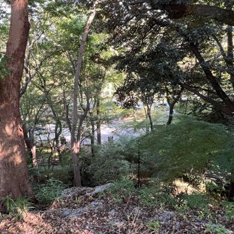 紅葉シーズンは綺麗だろうね