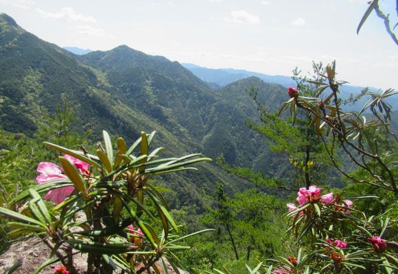 山キチ｜長野県の登山記録 | YAMAP / ヤマップ