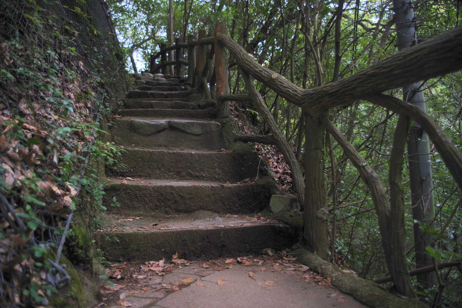 雄滝へ