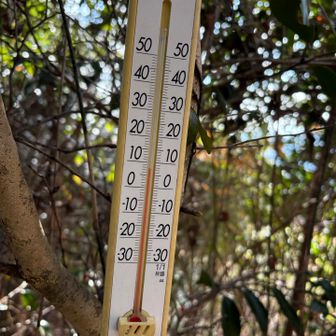 風もなく登山日和👍長T1️⃣枚でも大丈夫でした😊
