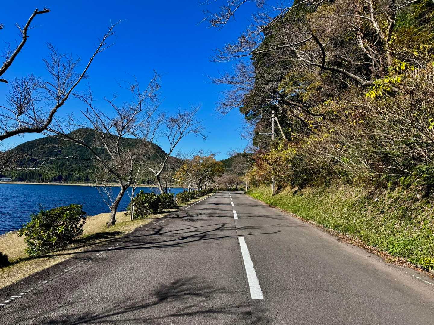 スタートして直ぐのロードで飛ばし過ぎないようにのんびり走る。