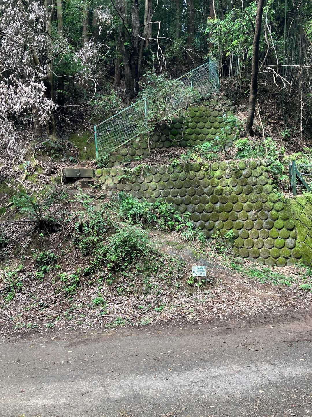ここを登り返し💦