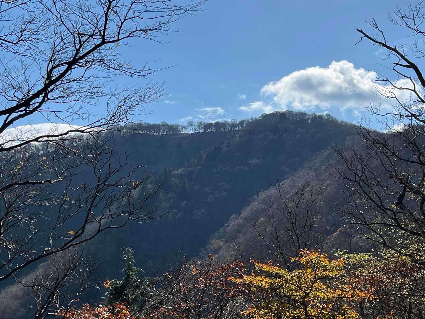大江山を振り返る
