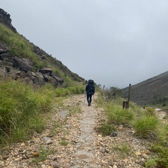 重たい荷物できつい中、リードありがとうございます🙏
