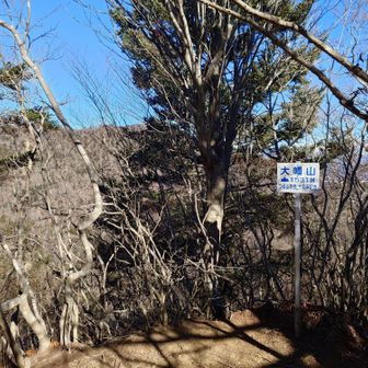 大幡山山頂