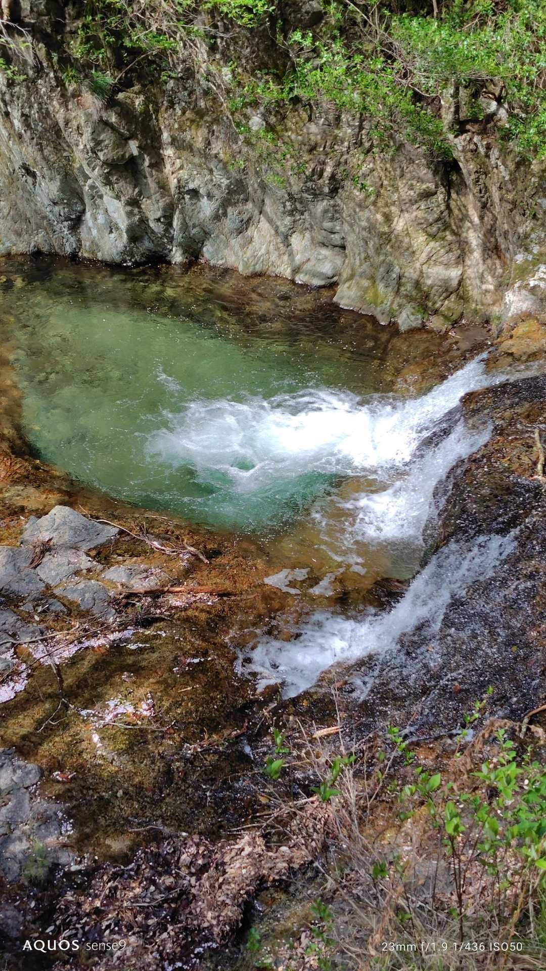 三森山 周回コースの写真