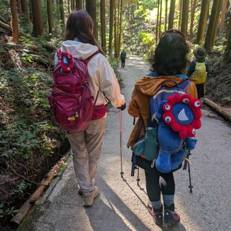 スムーズに下山しました〜