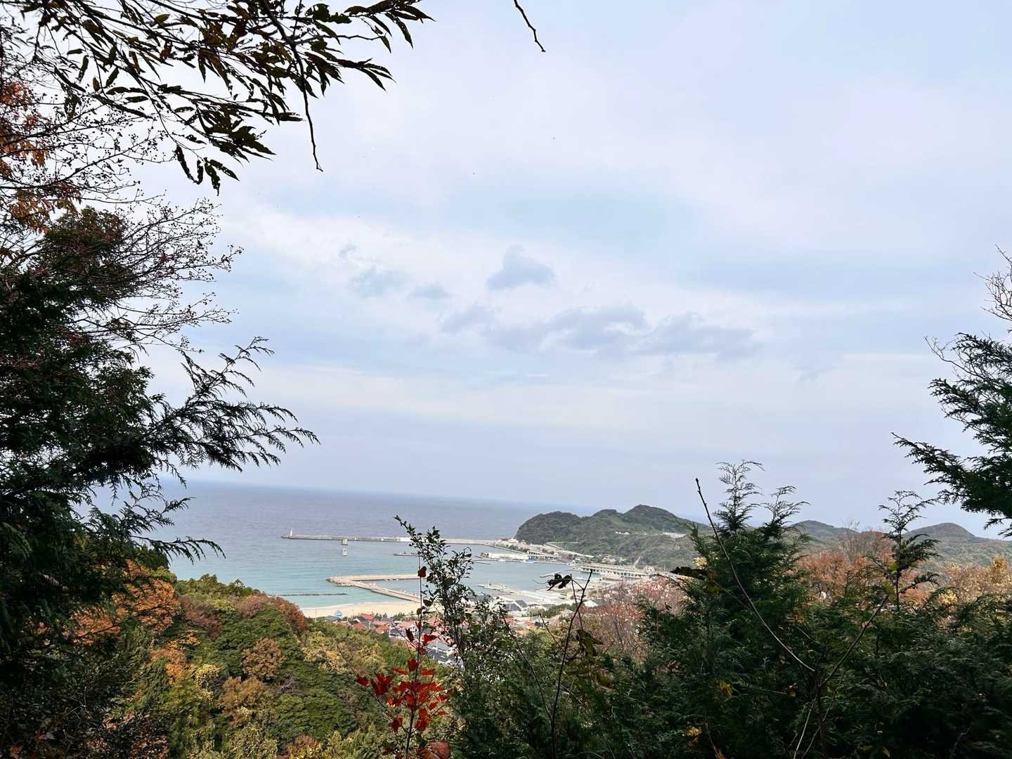 朝日山 周回コースの写真